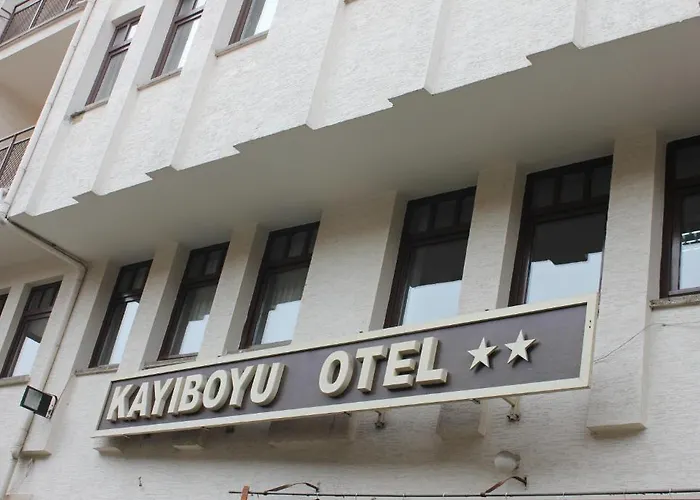 Kayiboyu 2* Beypazari